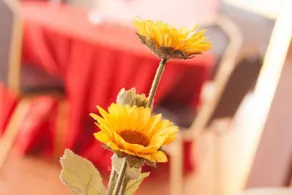 Floceg - Image 3