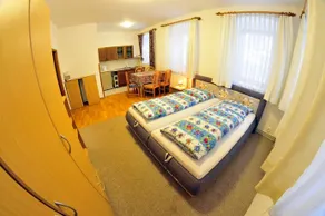 Family apartments in Vrchlabi, Giant Mountains - Pension 220 - Image 4