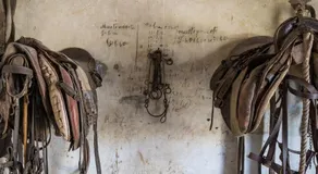 Masseria Sant'Ippolito - Image 2