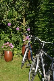 B&B Fresnere - Image 4