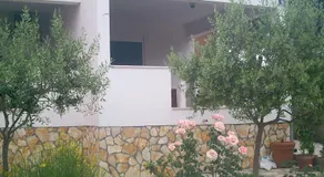 Apartments Dalmacija - Image 2