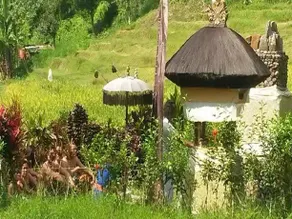 Dasa Vayu Cottage - Image 5