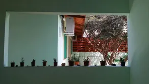 Avatar - Image 3