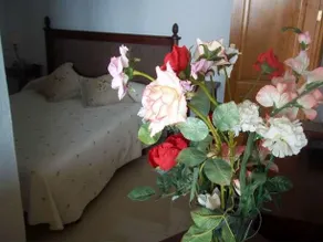 Fazinzi 347007 - Image 2