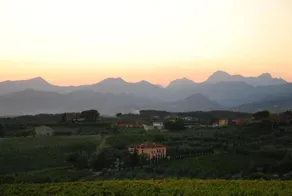 Le Vigne di Montecarlo - Image 5
