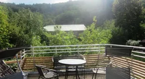 Ecologis du Vignoble - Image 2