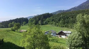 Natur pur - Image 5