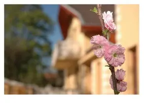 Medhotel Hrc - Image 2