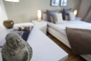 Luxury Apartments Geneva - Image 2