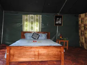 Yala Peocok Camping - Image 3
