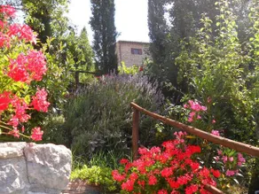 Agriturismo Roccagelli - Image 3