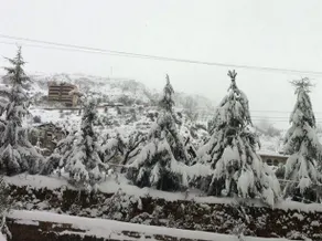 Faraya Residencia - Image 5