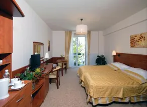 Hotel & Wellness Spa Sanatorium Slowacki - Image 3