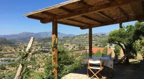 Il mandarino - Image 2