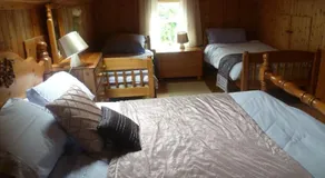 Forest View B&B - Image 4
