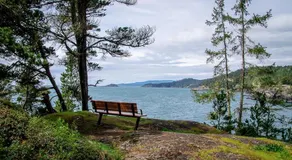 Stunning Studio in Heart of East Sooke - Image 5