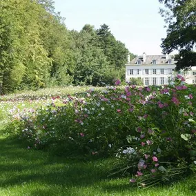 Domaine et Chateau de Séréville - Image 2