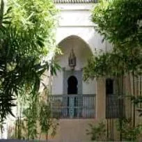 Dar Jeeling - Image 4