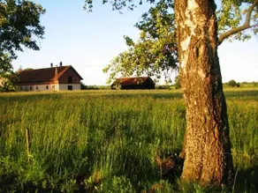 Agroturystyka Lolkowo - Image 5