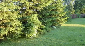 Domek nad Zubrowem - Image 3