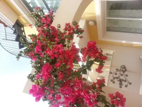 Townhouse in Calpe - Image 2