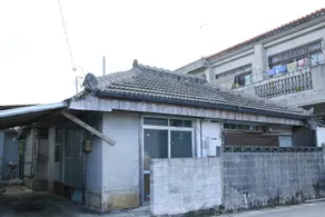 Nanohana - Image 1
