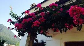 Casa Benamahoma - Image 3