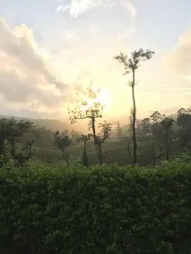 Mount Hermon Resort - Image 3