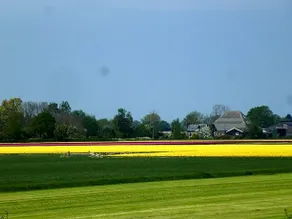 Het Burgemeestershuis - Image 3