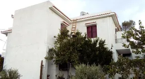 Evangelia Studio - Image 2