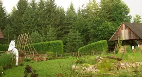 Ranch Kaja & Grom - Image 5