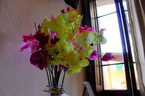 Buonarroti Relais - Image 5