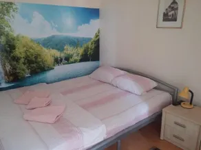 Guest house DND X - Image 4