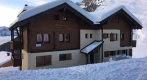Almenrausch - Image 5