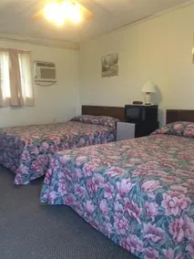 Fosterdale Motor Lodge - Image 2