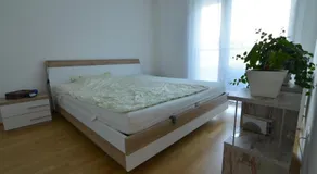 Vienna DC Living Apartment with parking on premise - Image 5