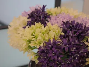 Fall in love with Paris Hostel - Image 4