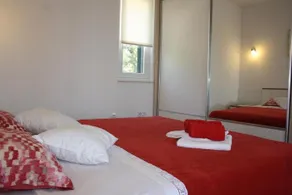 House Ruza rose - Image 2