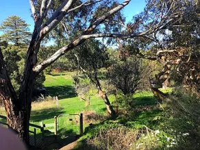 Port Elliot rural retreat - Image 3