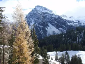 Chalet Tannenrain & Casa Alba - Image 4