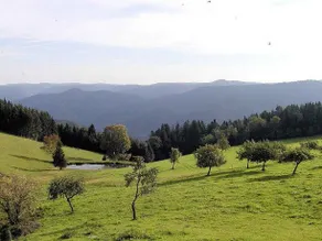 Ferienwohnungen und Privatzimmer Schanzenberghof - Image 4