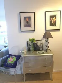 Alexana Suite - Image 4