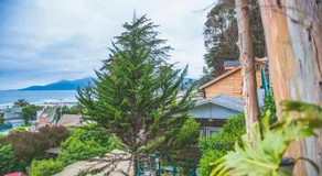 Cabañas El Bosque - Image 3