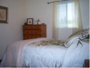 Halias Hideaway - Image 4