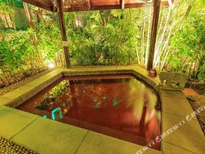 ROYAL MANOR HOT SPRING RESORT - Image 4