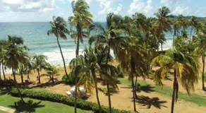 Palmas Inn Villas - Image 4