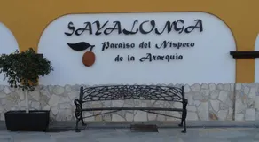 Eduardo - Image 4