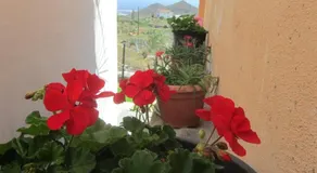 Casa Palma - Image 2