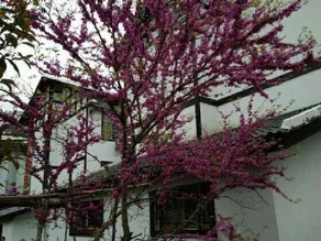 Lvyin Inn - Image 4