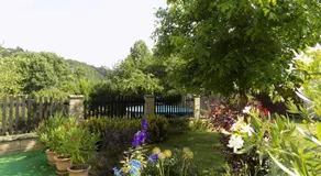 Landhaus Florian - Image 2